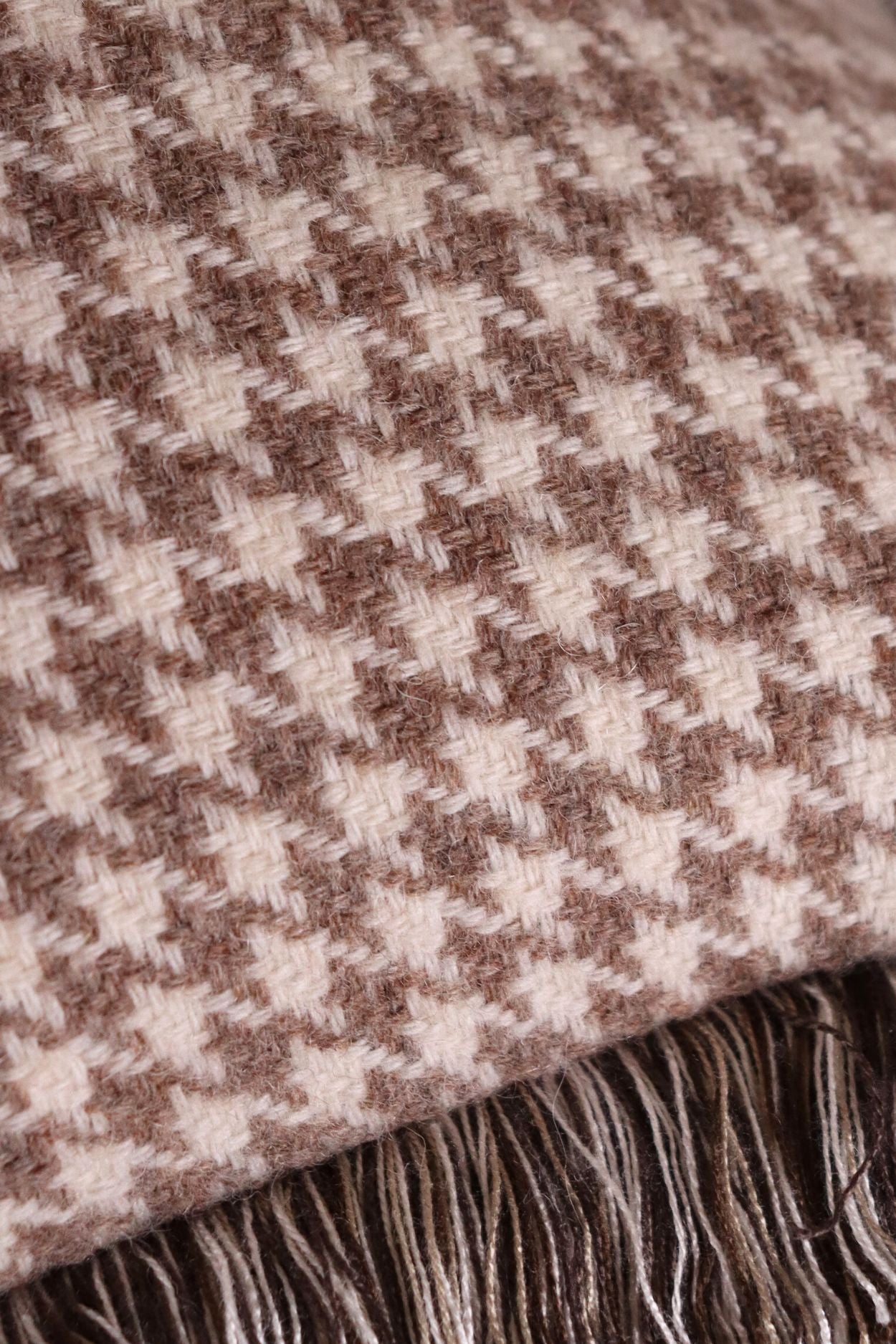 La Poulette - 50x50 cm