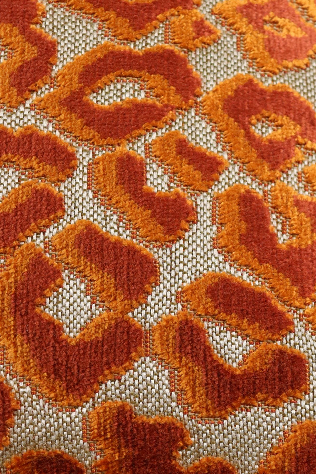 Fluffy Cougar - 40x60 cm